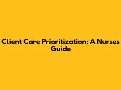 Client Care Prioritization: A Nurse's Guide