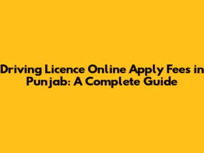Driving Licence Online Apply Fees in Punjab: A Complete Guide