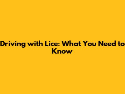 Driving with Lice: What You Need to Know