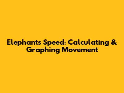 Elephant's Speed: Calculating & Graphing Movement