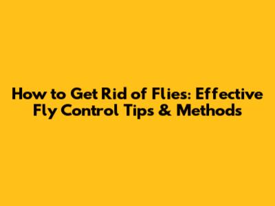 How to Get Rid of Flies: Effective Fly Control Tips & Methods