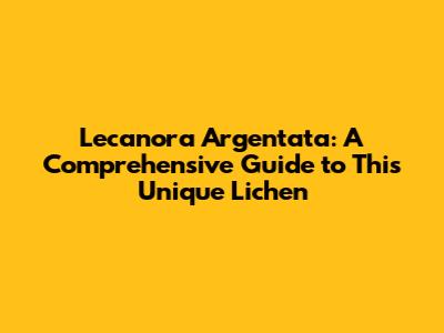 Lecanora Argentata: A Comprehensive Guide to This Unique Lichen