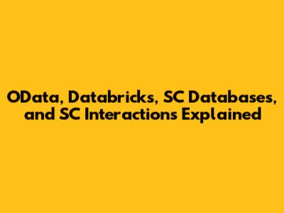 OData, Databricks, SC Databases, and SC Interactions Explained
