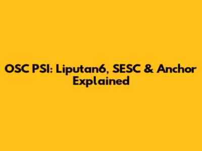 OSC PSI: Liputan6, SESC & Anchor Explained