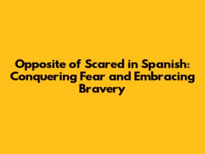 Opposite of Scared in Spanish: Conquering Fear and Embracing Bravery