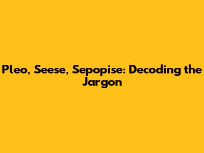 Pleo, Seese, Sepopise: Decoding the Jargon