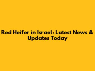 Red Heifer in Israel: Latest News & Updates Today