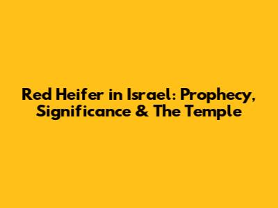 Red Heifer in Israel: Prophecy, Significance & The Temple