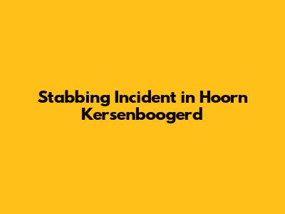 Stabbing Incident in Hoorn Kersenboogerd