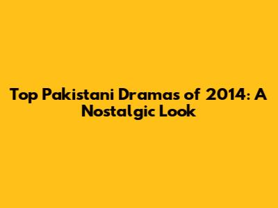 Top Pakistani Dramas of 2014: A Nostalgic Look